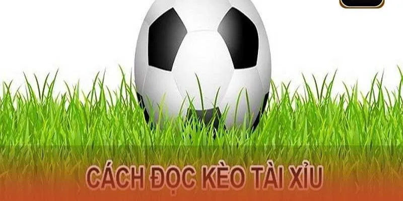 Hướng dẫn đọc tỷ lệ kèo Tài Xỉu dễ dàng, chính xác